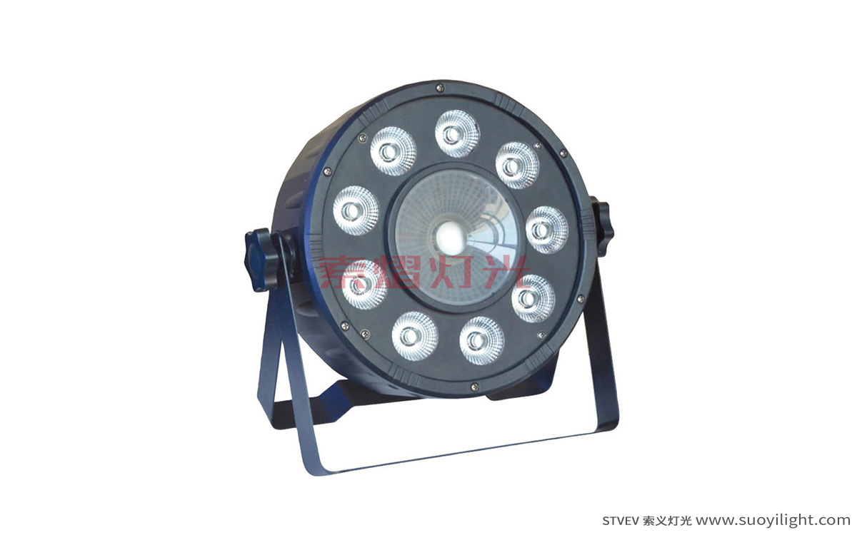 USA9+1 LED Plastic Par Light