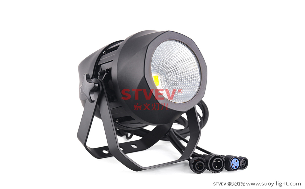 USA200W Waterproof COB Par Light production