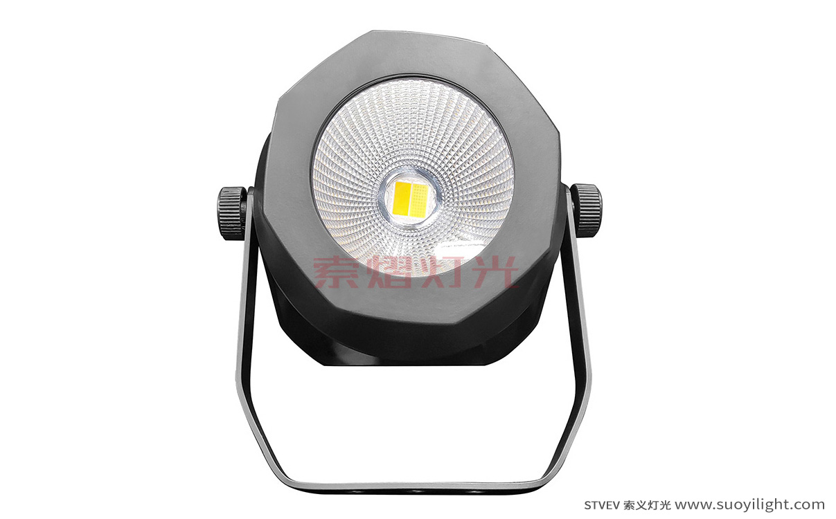 USA200W Waterproof COB Par Light manufacturer